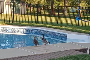 152 W Savannah Dr, Bear, DE 19701 - Photo 3