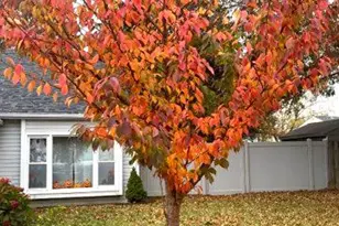 204 W Skeet Circle W, Bear, DE 19701 - Photo 3