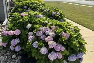 119 Felix Dr, Newark, DE 19713 - Photo 27