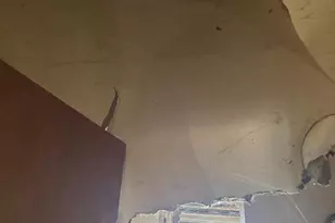 209 E 25th St, Wilmington, DE 19802 - Photo 9