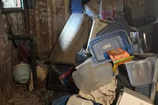 209 E 25th St, Wilmington, DE 19802 - Photo 45