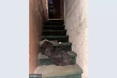 209 E 25th Street, Wilmington, DE 19802 - Photo 75