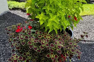 95 Hempstead Dr, Newark, DE 19702 - Photo 67