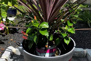 95 Hempstead Dr, Newark, DE 19702 - Photo 69