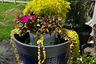 95 Hempstead Dr, Newark, DE 19702 - Photo 71