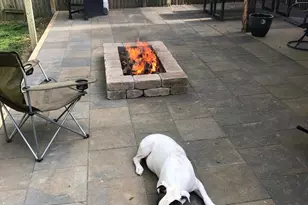 3 Lute Ct, Newark, DE 19713 - Photo 29