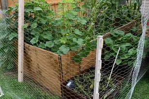 8 Lochview Dr, Bear, DE 19701 - Photo 45