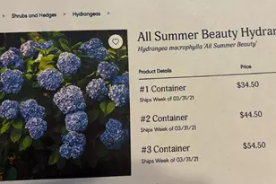 6 Bradley Cir, Middletown, DE 19709 - Photo 65