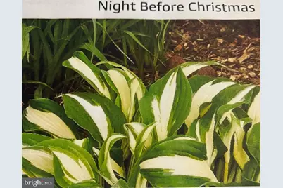 6 Bradley Circle, Middletown, DE 19709 - Photo 61