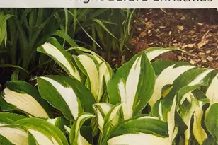 6 Bradley Cir, Middletown, DE 19709 - Photo 61