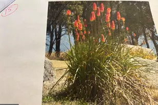 6 Bradley Cir, Middletown, DE 19709 - Photo 63