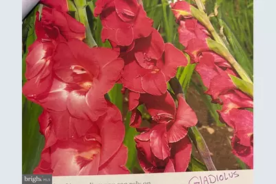 6 Bradley Circle, Middletown, DE 19709 - Photo 59