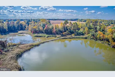 3349 Harris Road, Townsend, DE 19734 - Photo 9