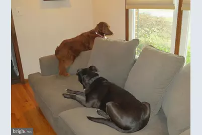 523 Ponderosa Drive, Bear, DE 19701 - Photo 29