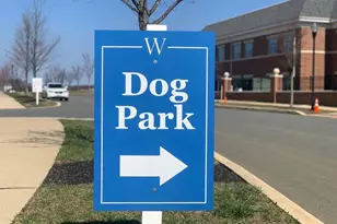 603 Mapleton Ave, Middletown, DE 19709 - Photo 19