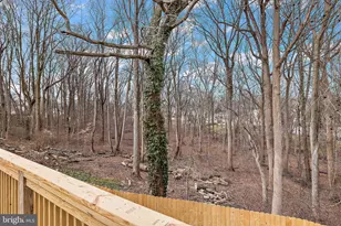 6 Worral Ct, Newark, DE 19711 - Photo 29