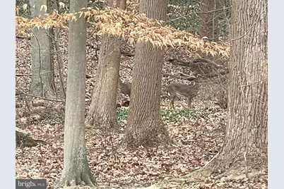 43 The Horseshoe, Newark, DE 19711 - Photo 33