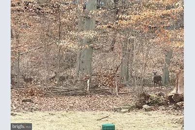 43 The Horseshoe, Newark, DE 19711 - Photo 31