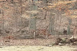 43 The Horseshoe, Newark, DE 19711 - Photo 31