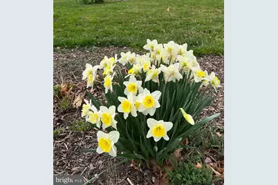 105 Chapel Hill Drive, Newark, DE 19711 - Photo 47