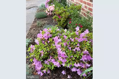 105 Chapel Hill Drive, Newark, DE 19711 - Photo 45