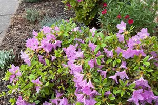 105 Chapel Hill Dr, Newark, DE 19711 - Photo 45