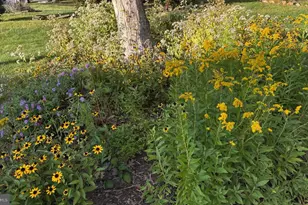 105 Chapel Hill Dr, Newark, DE 19711 - Photo 43