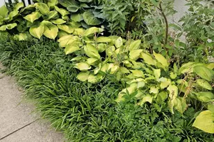 102 Laurel Ave, Wilmington, DE 19809 - Photo 41