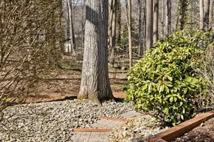 1 Blue Jay Dr, Newark, DE 19713 - Photo 77