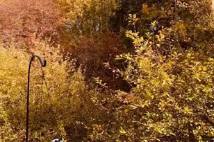 3507 Haley Ct, Wilmington, DE 19808 - Photo 27