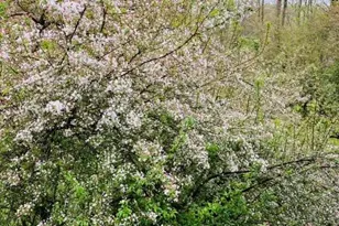 3507 Haley Ct, Wilmington, DE 19808 - Photo 23