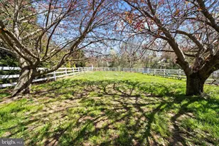 21 Canary Ct, Middletown, DE 19709 - Photo 21