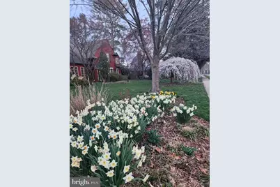 216 Orchard Road, Newark, DE 19711 - Photo 75