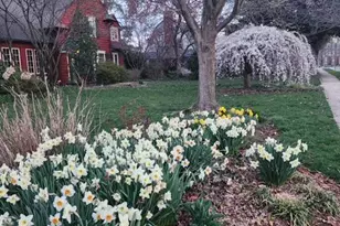 216 Orchard Rd, Newark, DE 19711 - Photo 75