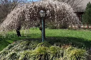 216 Orchard Rd, Newark, DE 19711 - Photo 77