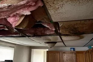 903 Maple St, Wilmington, DE 19805 - Photo 3