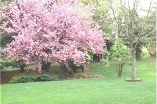 111 Ramunno Cir, Hockessin, DE 19707 - Photo 47