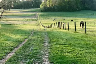 2400 Baynard Blvd, Wilmington, DE 19802 - Photo 35