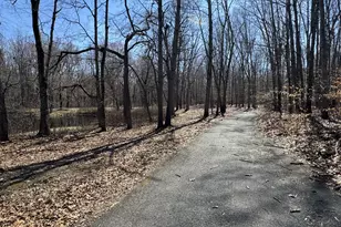 174 Pine Tree Rd, Townsend, DE 19734 - Photo 73