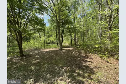 174 Pine Tree Road, Townsend, DE 19734 - Photo 73