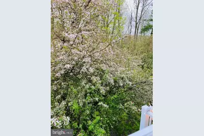 3507 Haley Court, Wilmington, DE 19808 - Photo 29