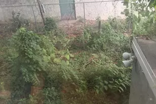 413 S Claymont St, Wilmington, DE 19801 - Photo 25