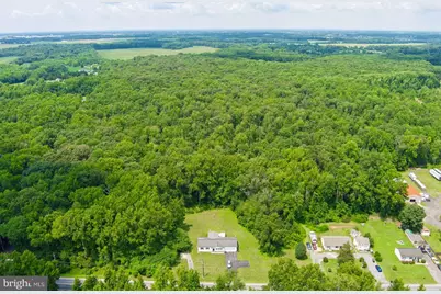 311 Pine Tree Road, Townsend, DE 19734 - Photo 21
