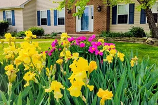 206 W Thomas Ct, Middletown, DE 19709 - Photo 5