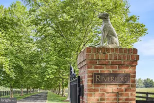 1455 Cayots Corner Rd, Chesapeake City, MD 21915 - Photo 141