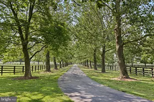 1455 Cayots Corner Rd, Chesapeake City, MD 21915 - Photo 139
