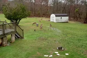 520 Bell Manor Rd, Conowingo, MD 21918 - Photo 11