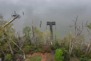 38 Osprey Way, Elkton, MD 21921 - Photo 49