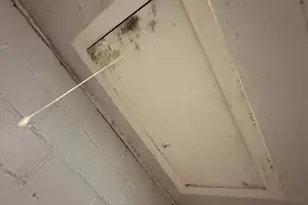 2324 Oldfield Point Rd, Elkton, MD 21921 - Photo 33