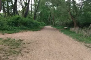 25 Beech St, North East, MD 21901 - Photo 31